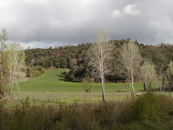 Tartufaie in Toscana