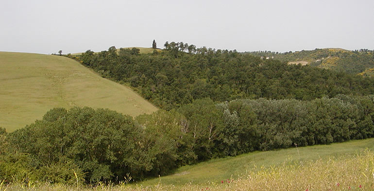 Realizzazione tartufaie Toscana